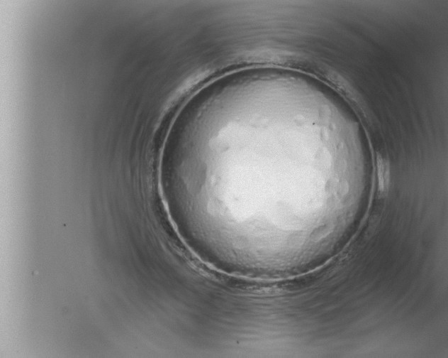 X0000080130675200612302037