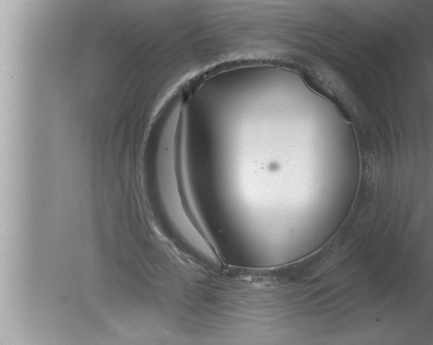 X0000080130676200612302037