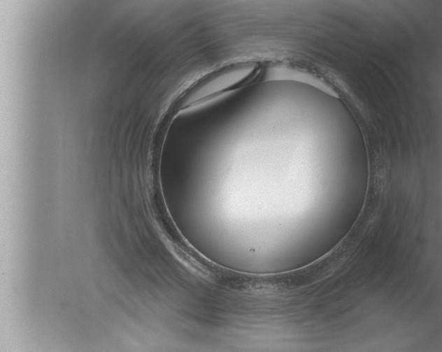 X0000080130677200612302037