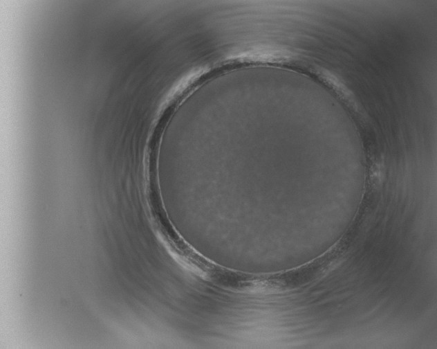 X0000080130678200612302037