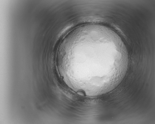 X0000080130679200612302037