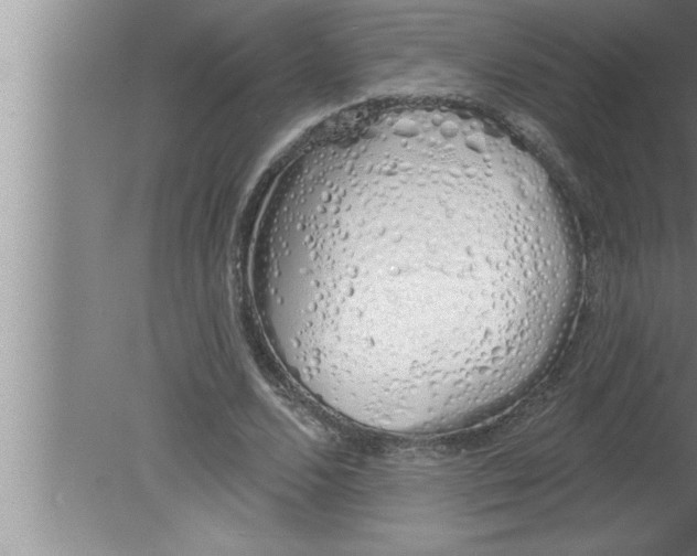 X0000080130680200612302037