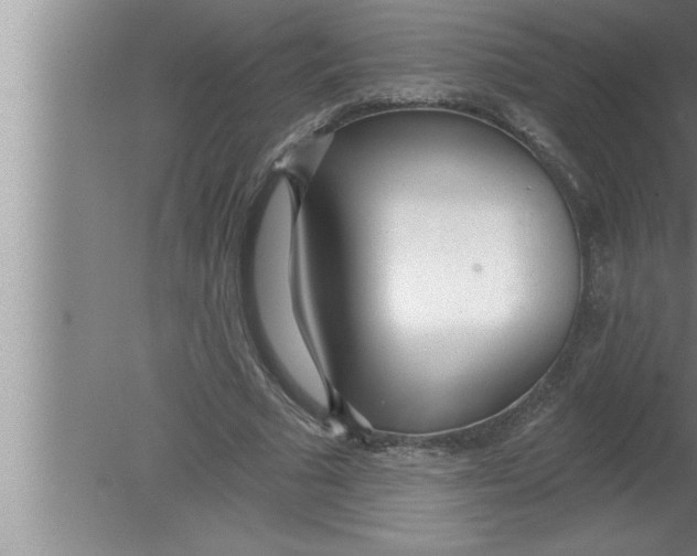 X0000080130681200612302037