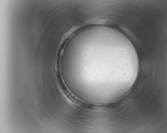 X0000080130682200612302036