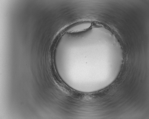 X0000080130684200612302036