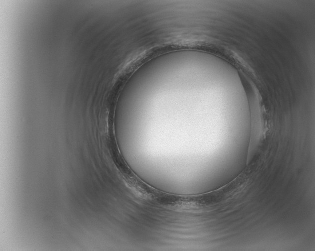 X0000080130685200612302036