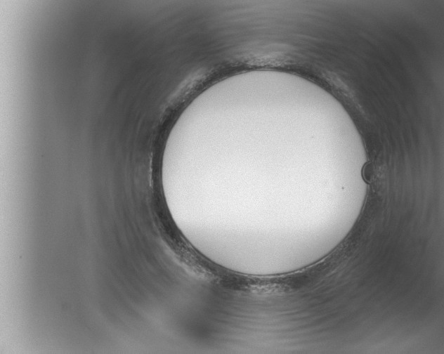 X0000080130686200612302036