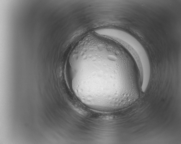 X0000080130687200612302036