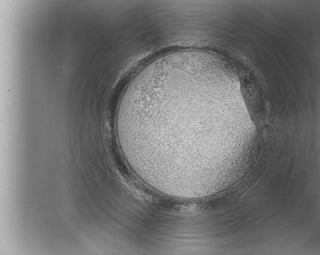 X0000080130688200612302036