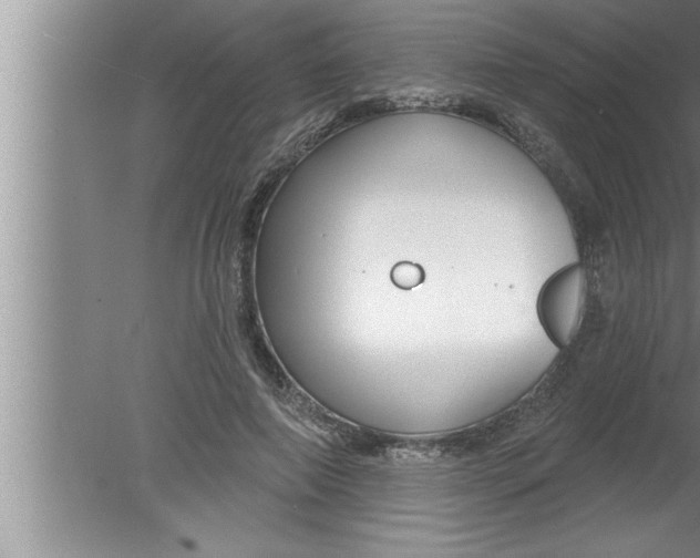 X0000080130690200612302036