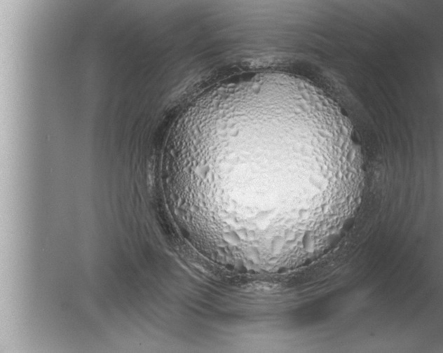 X0000080130691200612302036