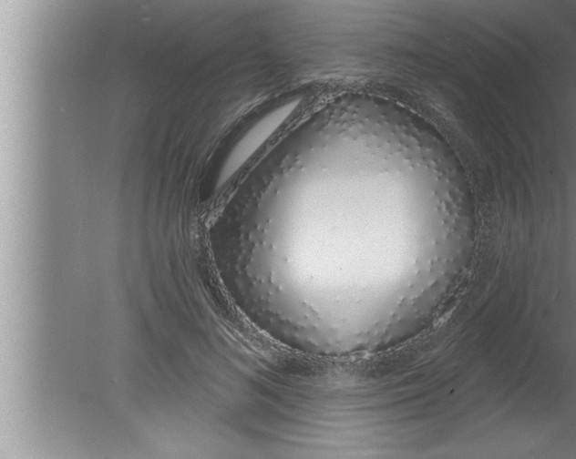 X0000080130692200612302036