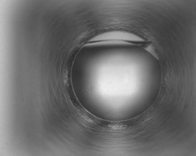 X0000080130693200612302036