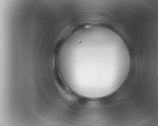 X0000080130694200612302036