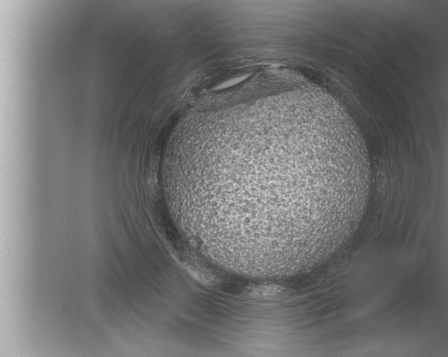 X0000080130695200612302036