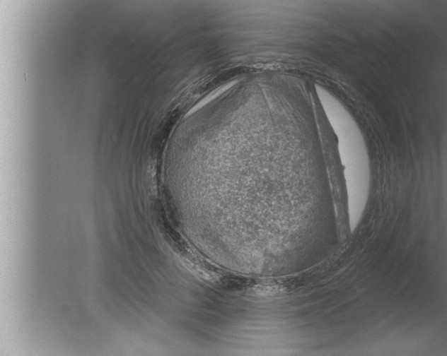 X0000080130696200612302036