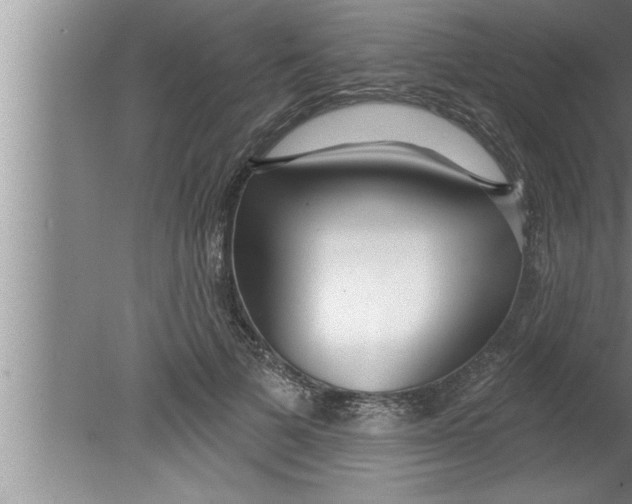 X0000080130697200612302036