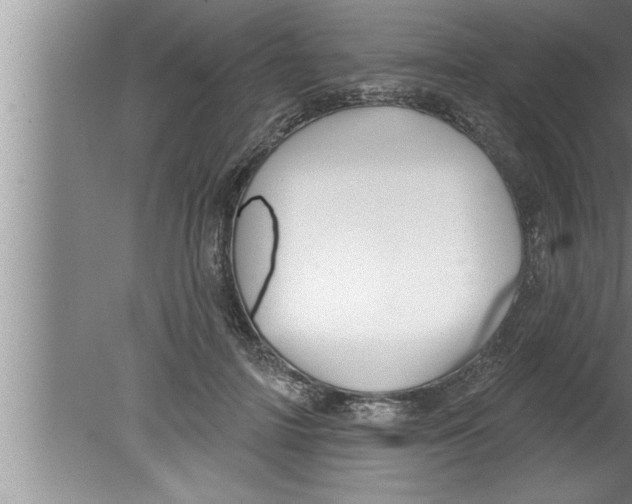 X0000080130698200612302036