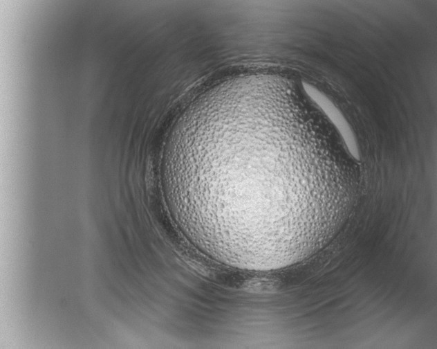 X0000080130700200612302036