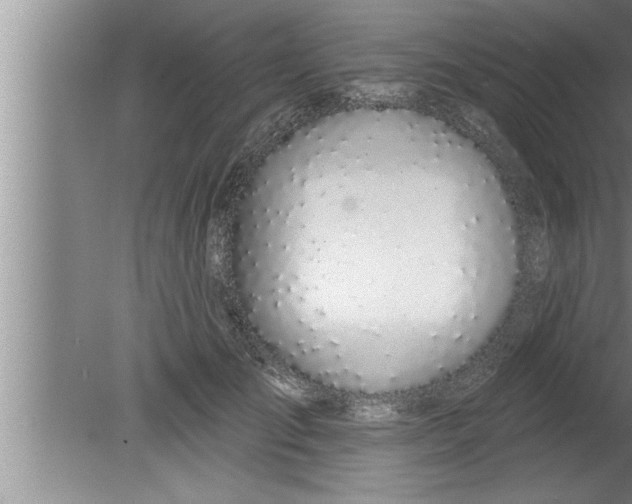 X0000080130701200612302036