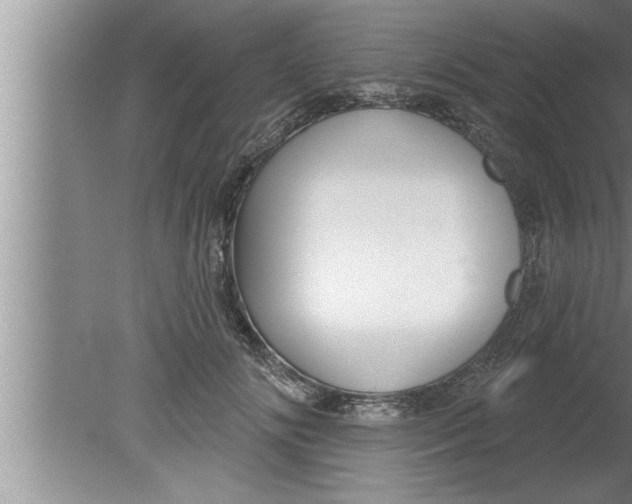 X0000080130702200612302036