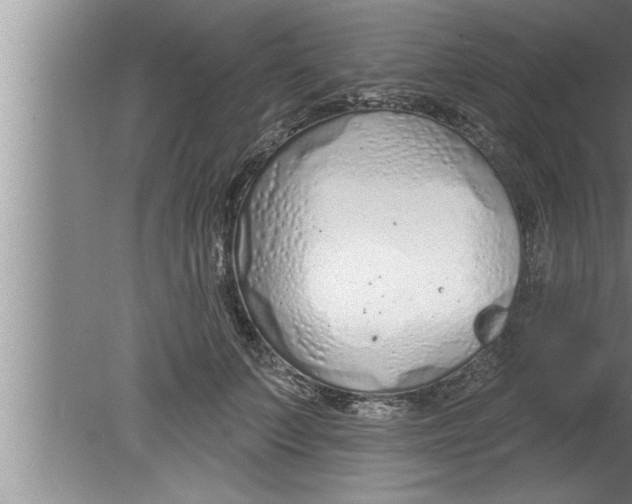 X0000080130703200612302036