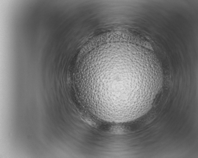 X0000080130704200612302036