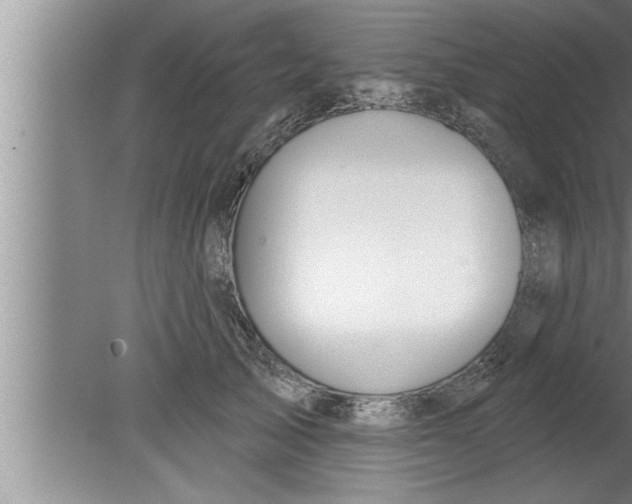 X0000080130705200612302036