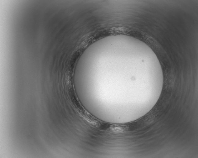 X0000080130706200612302036