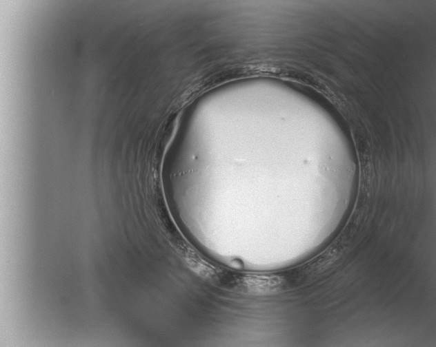 X0000080130707200612302036