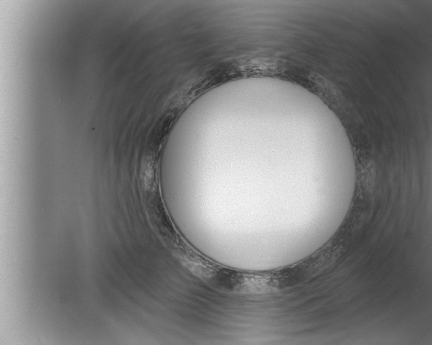 X0000080130709200612302036