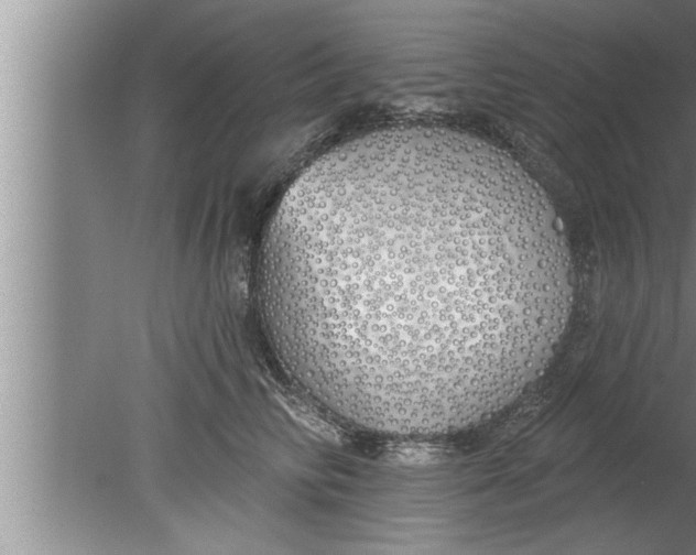 X0000080130710200612302036