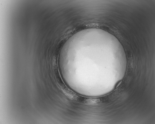 X0000080130711200612302036