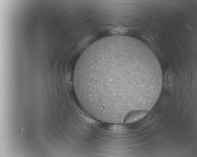 X0000080130714200612302036