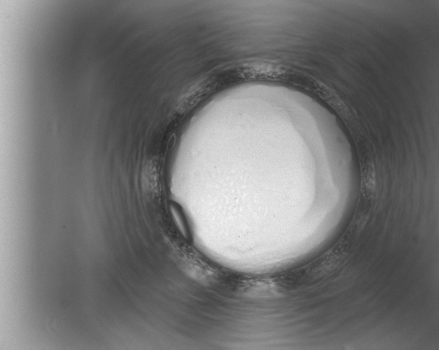 X0000080130715200612302036