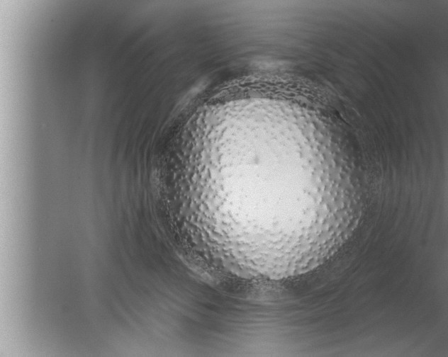 X0000080130716200612302036