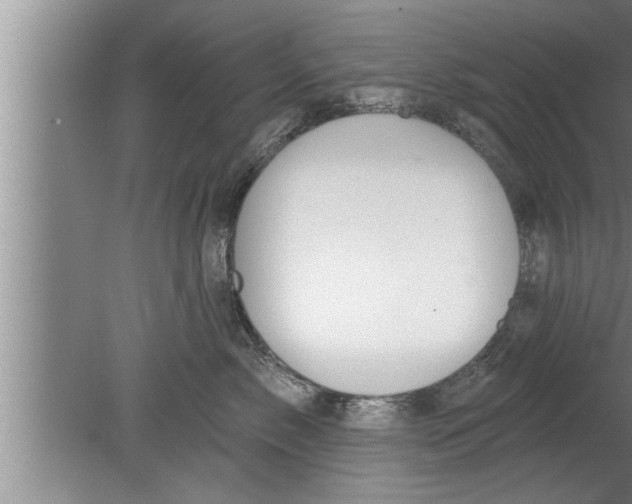 X0000080130717200612302036