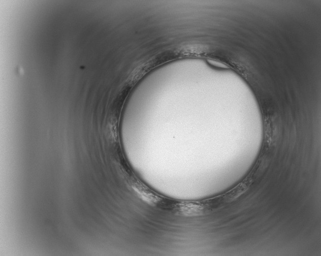 X0000080130718200612302036