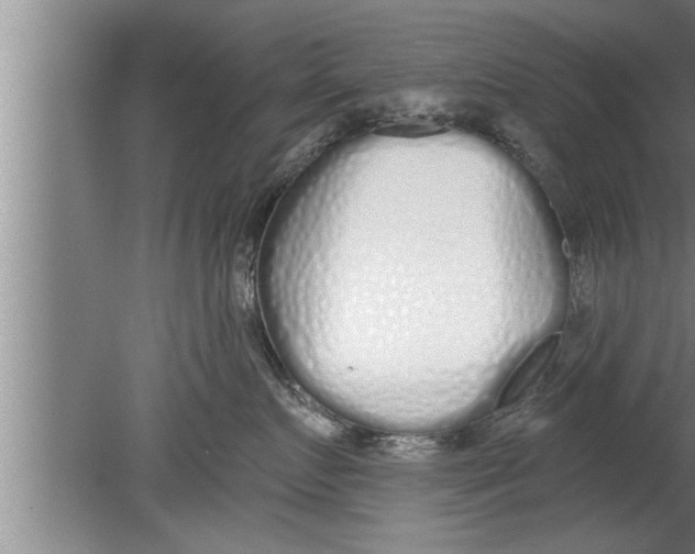 X0000080130719200612302036