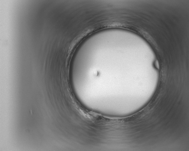 X0000080130721200612302035