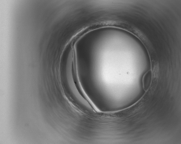 X0000080130722200612302035