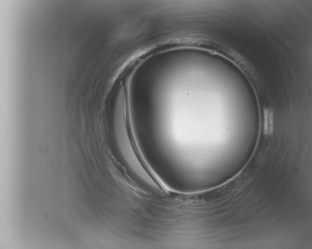 X0000080130723200612302035