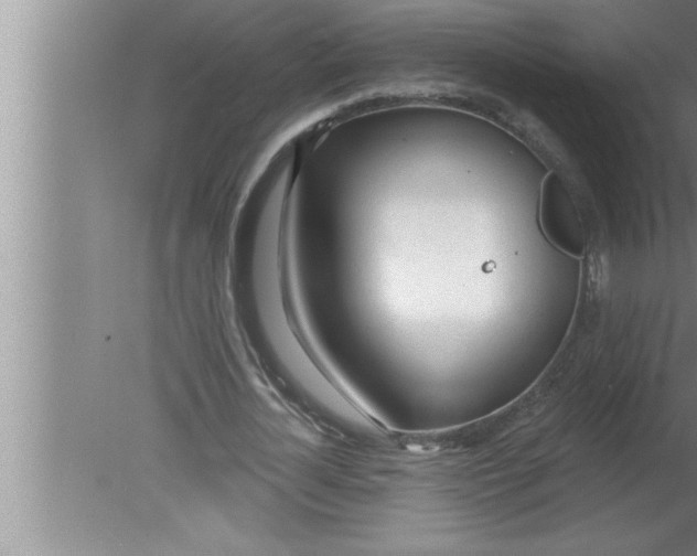 X0000080130724200612302035