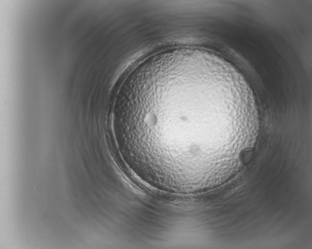 X0000080130725200612302035