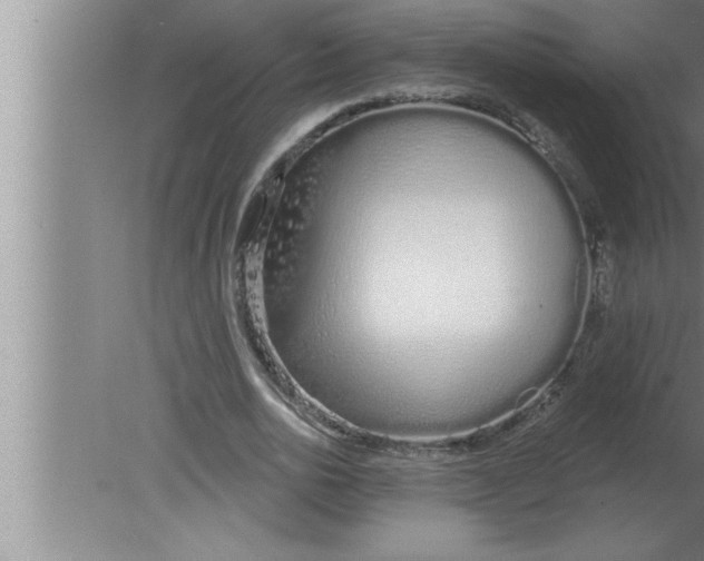 X0000080130726200612302035