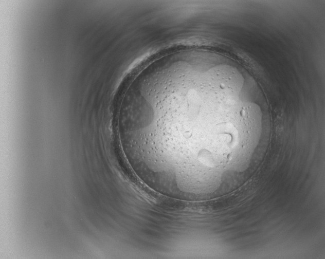 X0000080130727200612302035