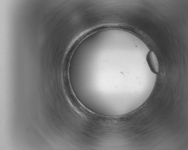 X0000080130728200612302035