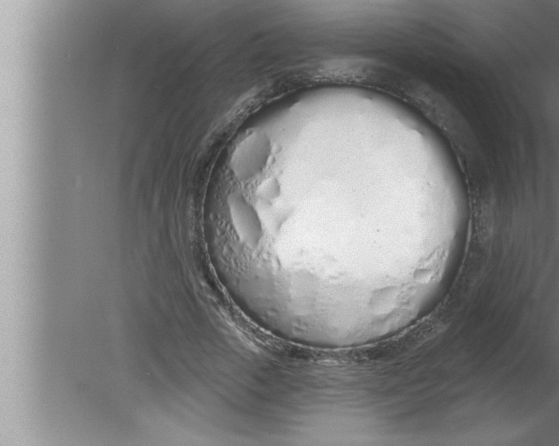 X0000080130729200612302035