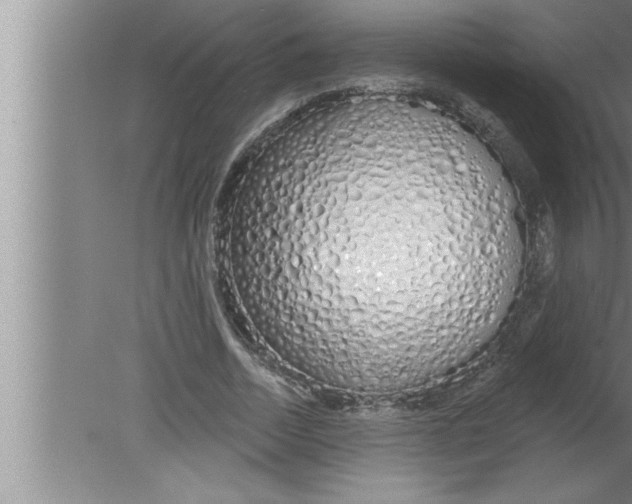 X0000080130730200612302035