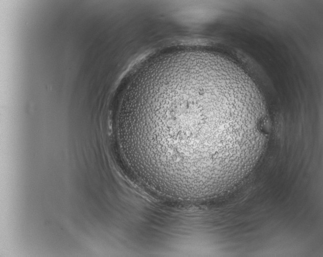 X0000080130731200612302035